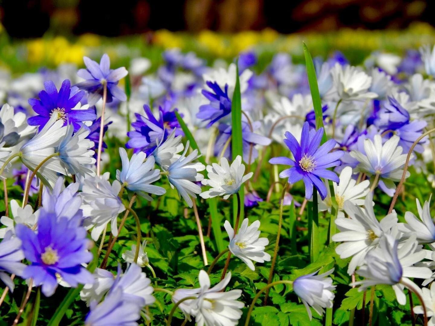Thornton Manor - Holiday Cottages And Apartments Heswall Camera foto