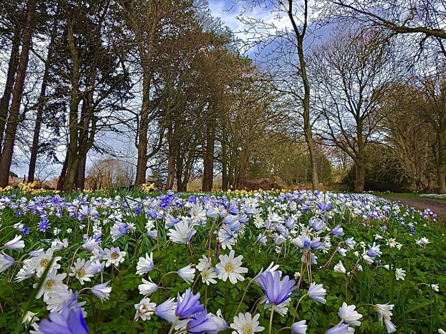 Thornton Manor - Holiday Cottages And Apartments Heswall Camera foto