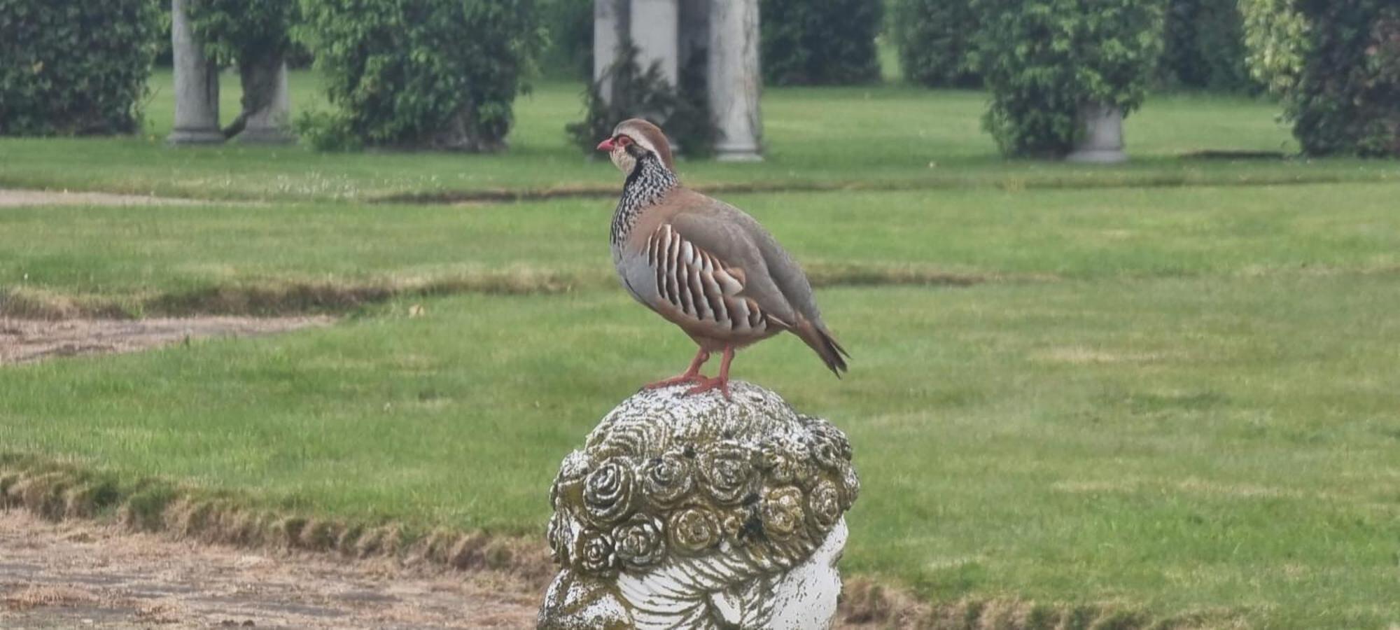 Thornton Manor - Holiday Cottages And Apartments Heswall Camera foto